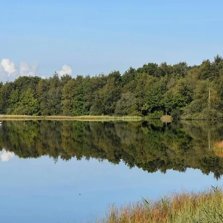 6 Person In Ansager-by Traum Ansager