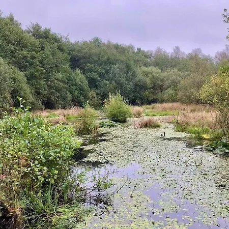 펜션 6 Person In Ansager-by Traum