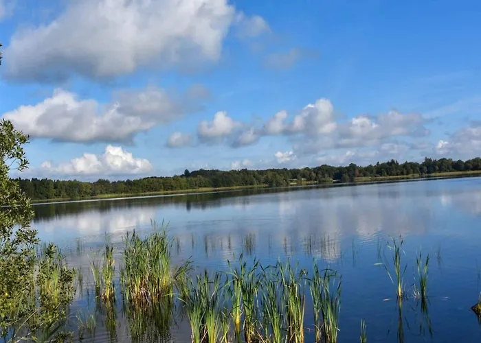 6 Person In Ansager-by Traum * Ansager